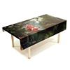 The Ultimate Art Furniture: The Coffee Table (The Swing)

Constantin and Laurene Boym

