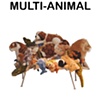 Banquete: Original/Multi-Animal

Fernando and Humberto Campana

