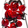 Campane di Campana: Bell No. 1968 Coccinelle (Ladybugs) detail

Fernando and Humberto Campana

