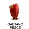 Gaetano Pesce