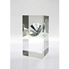 Eternal Stool

Tokujin Yoshioka

Swarovski Crystal Palace

