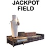 Jackpot Field

Hella Jongerius

