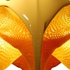 Julia Suspension Light detail

Peter Jansen

.MGX by Materialise

