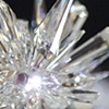 Ice Branch detail

Tord Boontje

Swarovski Crystal Palace

