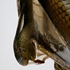 NativoCampana Fossils: Vipera Bowl
detail

Fernando and Humberto Campana

