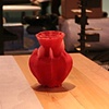 Made by Bees Vase (Red)
by Tomas Gabdzil Libertiny