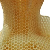 Made by Bees: 
Honeycomb Vase (natural) detail

Tom&aacute; Gabzdil Libertiny (Studio Libertiny)

