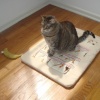 pretty on her new bed
