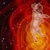 Bruce in Space