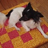 Small Mini Quilts