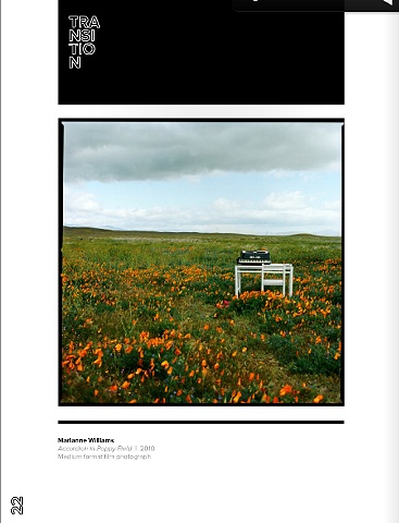 Accordion in Poppy Fields printed in Issue 1 (California Issue) of new LA based art magazine Installation.