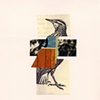 Plumage