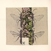 Nectar