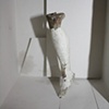 Untitled (Just the way you like it!) 
