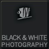 The Black & White Works