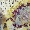 Floral Collage
