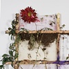 Trellis II- Detail