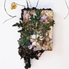 Overgrown Canvas II