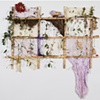 Trellis