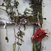 Forever Tropical- Detail