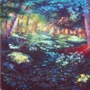 Light in the Forest