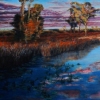Okefenokee Wildlife Refuge
