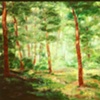 Pines at Dawn