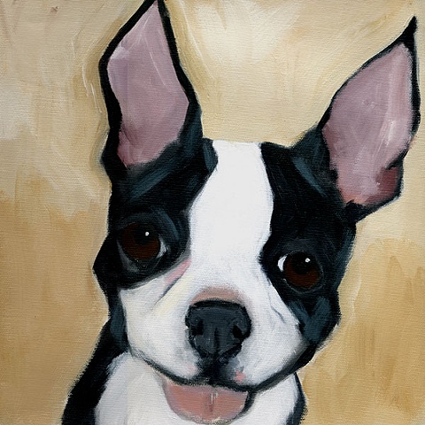 original contemporary modern acrylic painting Boston Terrier dog