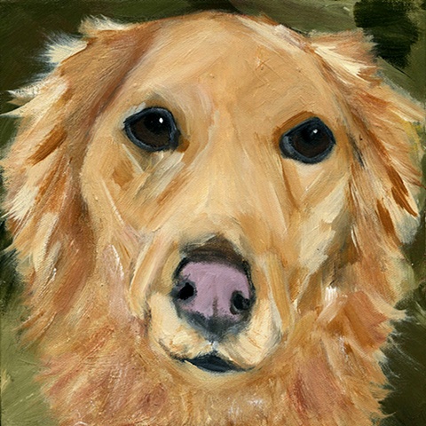 original contemporary modern acrylic painting Golden Retriever dog