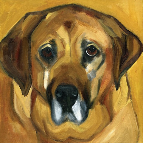 original contemporary modern acrylic painting dog animal