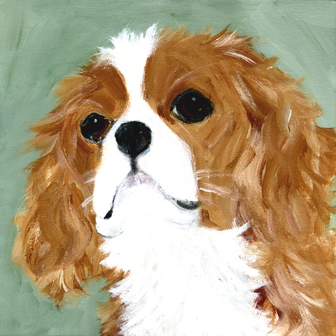 original contemporary modern acrylic painting cavalier king charles spaniel dog portrait