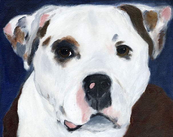 original contemporary modern acrylic painting American Staffordshire Terrier dog animal portrait