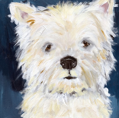 original contemporary modern acrylic painting of West Highland Terrier Westie animal portrait