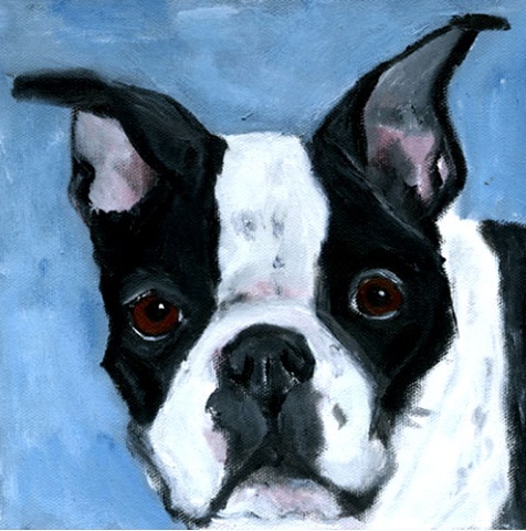 original contemporary modern acrylic painting Boston Terrier dog animal portait