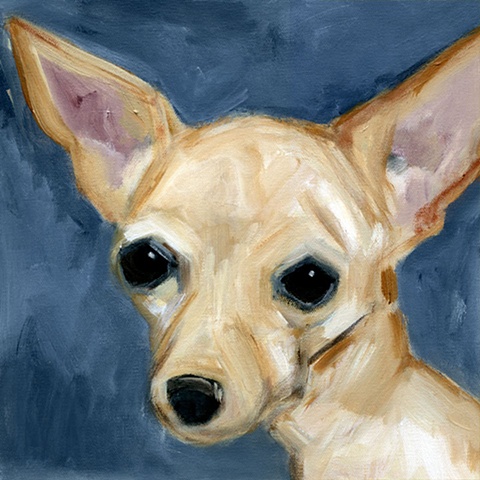 original contemporary modern acrylic painting Chihuahua dog portrait
