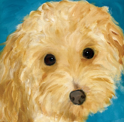 original contemporary modern acrylic painting poodle dog animal portrait