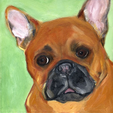 original contemporary modern acrylic painting French Bulldog dog animal portrait