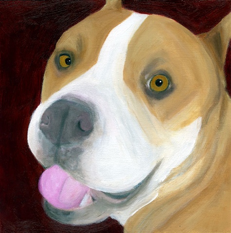 Happy Smiling Pit Bull Original Dog Art Painting