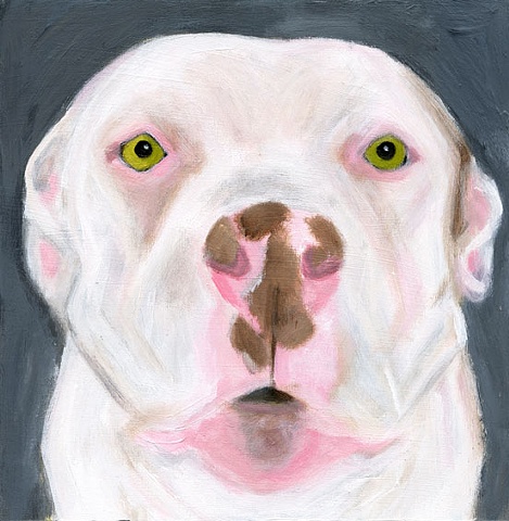 original white pit bull dog art portrait painting