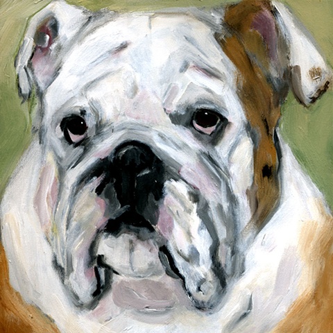 original contemporary modern acrylic painting Old English Bulldog portrait