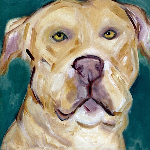 original contemporary modern acrylic painting red nose pit bull dog animal portrait