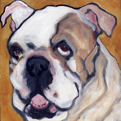 original contemporary modern acrylic painting Old English Bulldog dog animal portrait