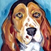 Bed Warmer
Basset Hound