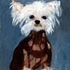 Bad Hair Day
Chinese Crested Dog