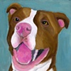  Dog Portraits

