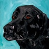 Best Friend
Black Labrador Retriever