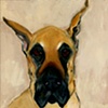 Gentle Giant
Great Dane