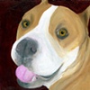 Happy Smiling Pit Bull Original Dog Art Painting