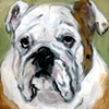 Low Dog
Old English Bulldog