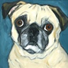 Born To Snort 
Pug